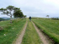 Godworth